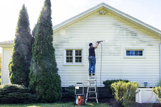 Best Gutter Cleaning  in Kalamazoo, MI